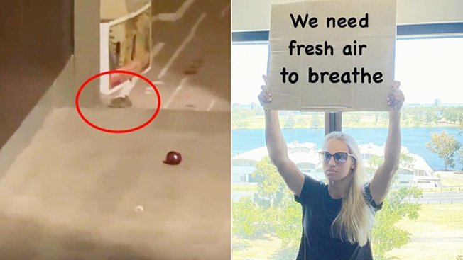 image Don&#8217;t feed the mice, minister tells quarantined tennis players