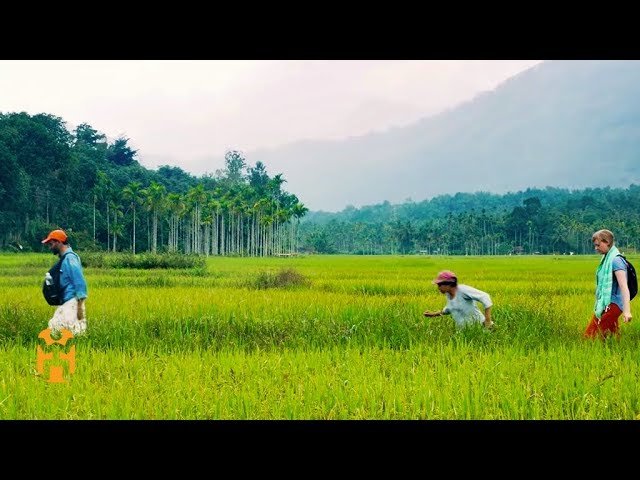 image Embracing sustainable tourism in Kerala