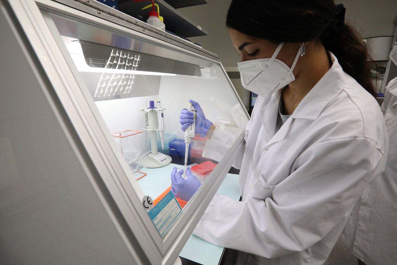 image Coronavirus: Fears that people are lying about positive case contacts