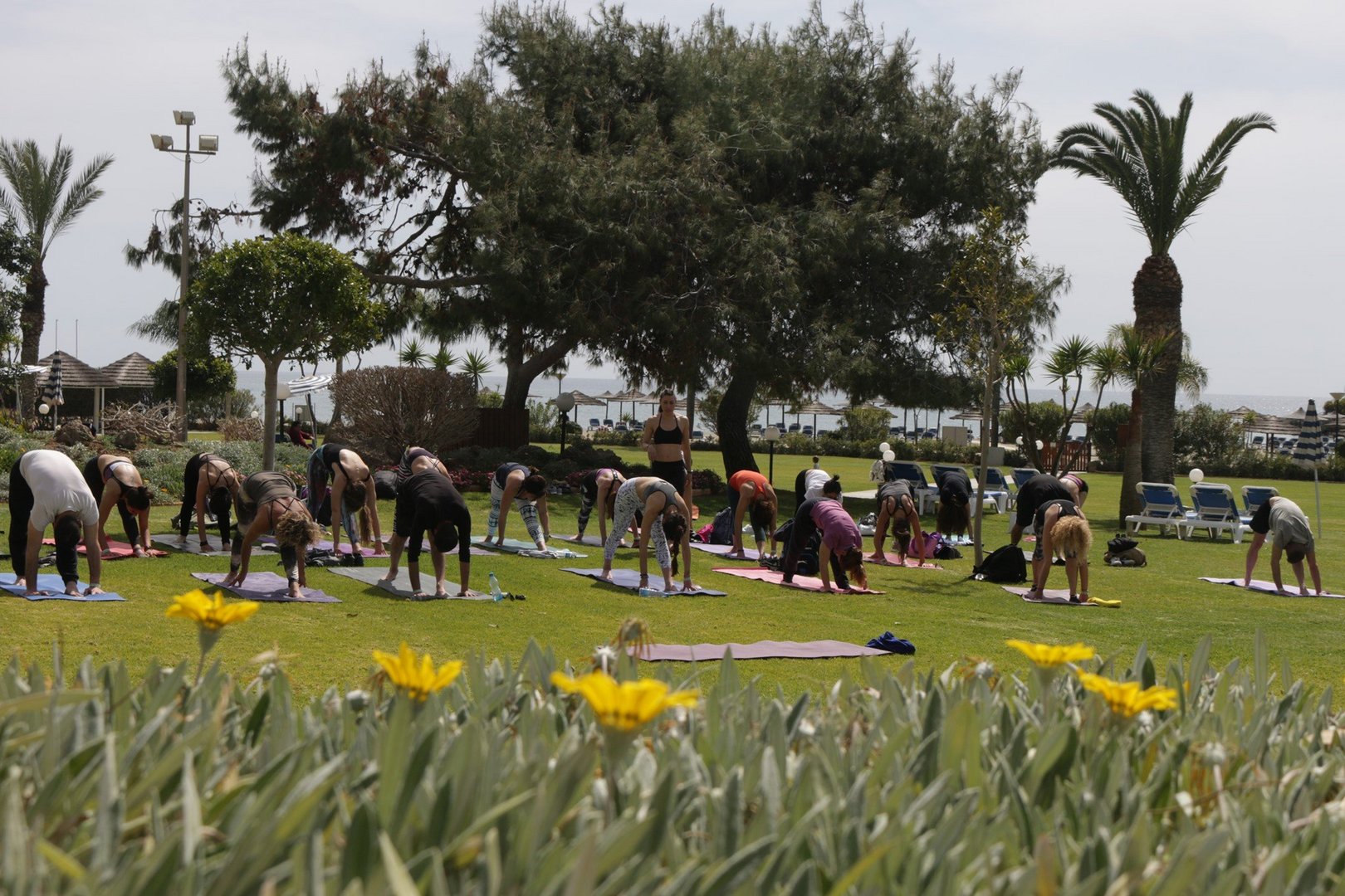 image A spring of wellness