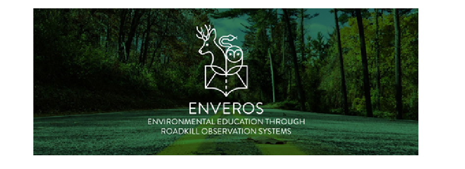 image Environmental education through roadkill observation systems – The EnVeROS project