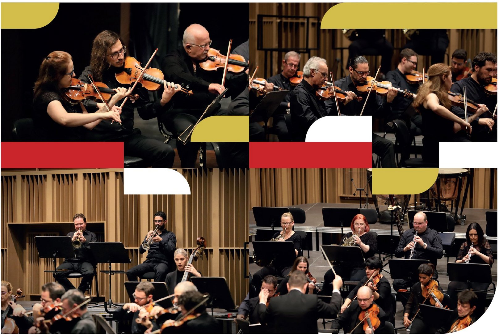 image The joy of chamber music
