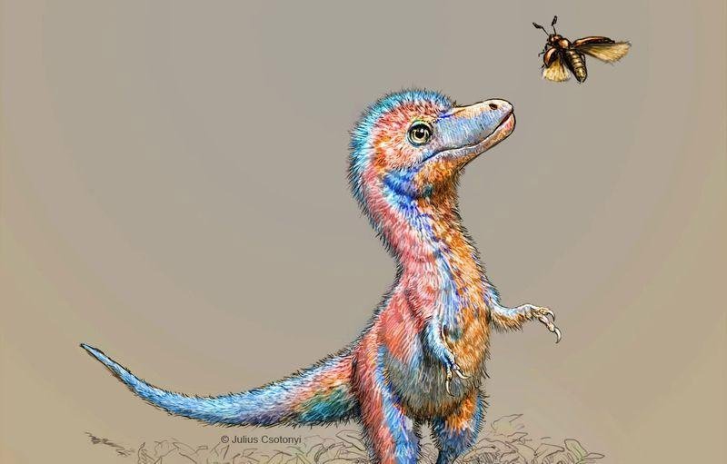 image Babies from famed carnivorous dinosaur group were &#8216;born ready&#8217; to hunt