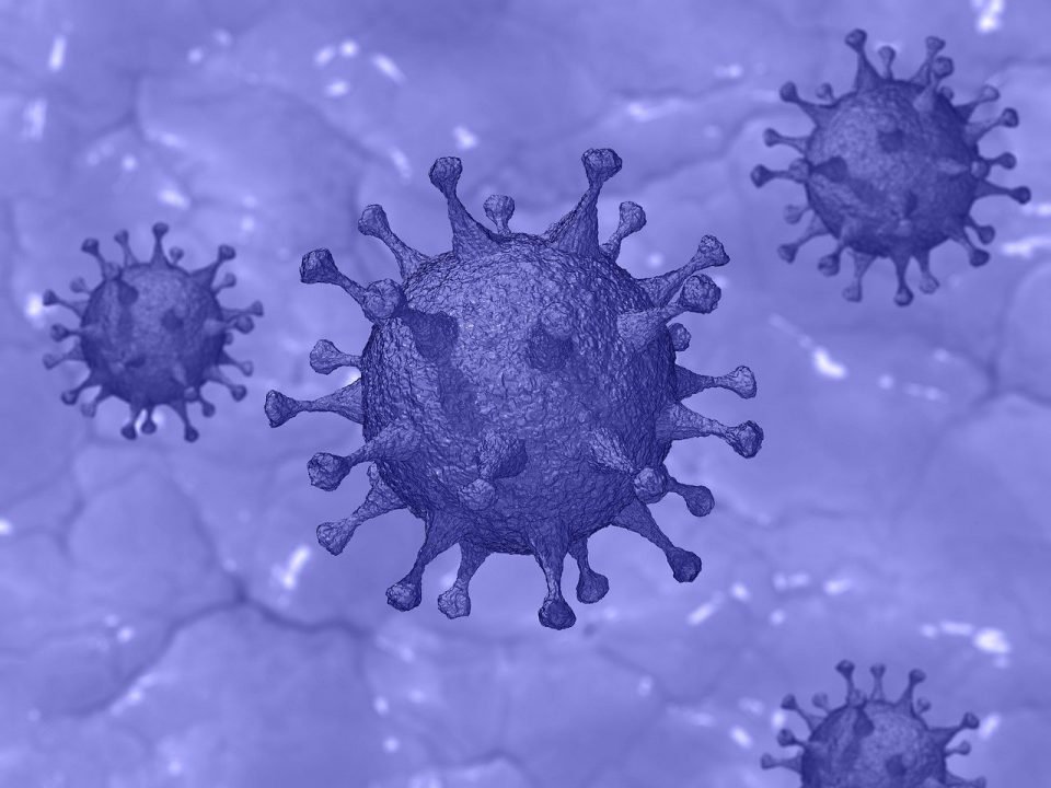 image Coronavirus: 298 cases announced on Saturday (Update)