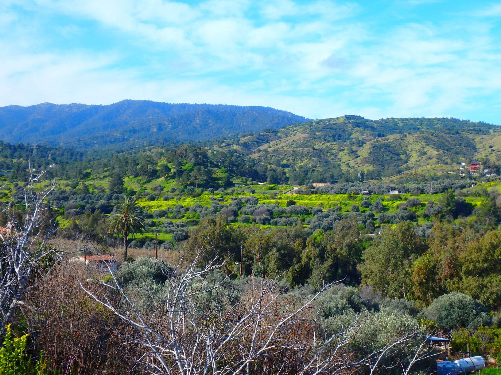 feature gina the area in solea before work started