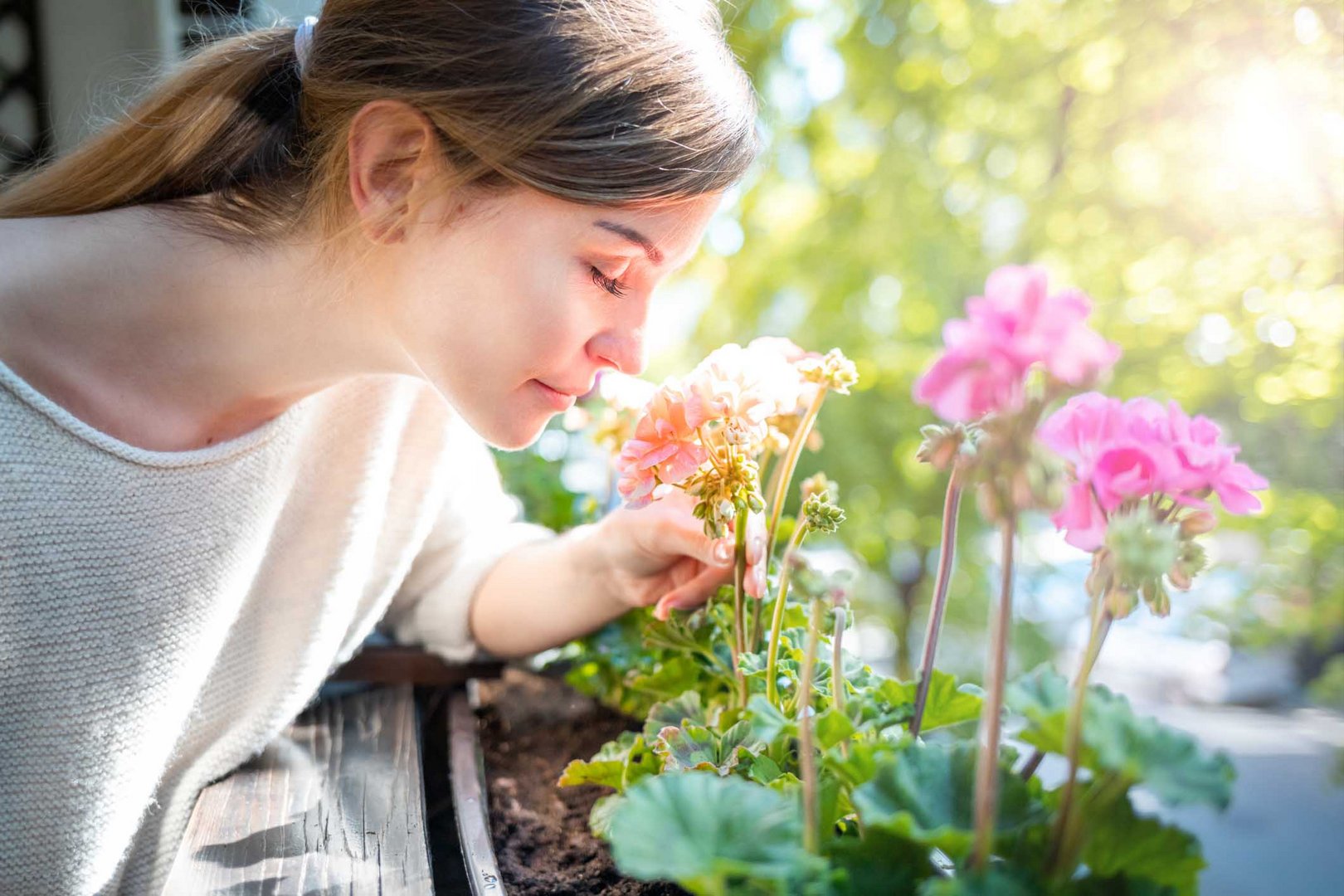 image How growing plants can lift spirits when you’re feeling low