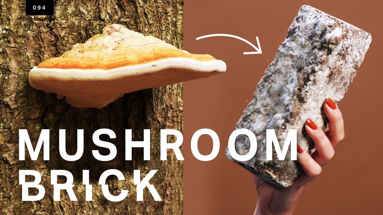 image This mushroom brick could replace concrete
