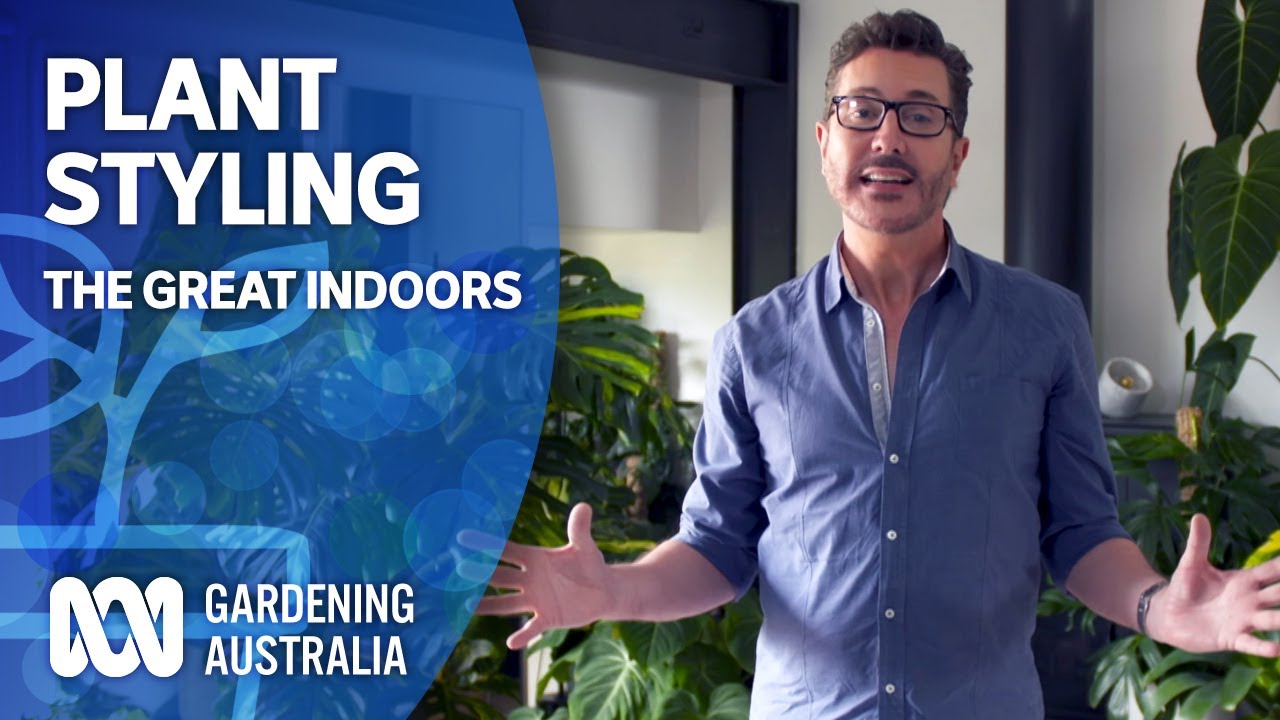 image Plant styling for the great indoors