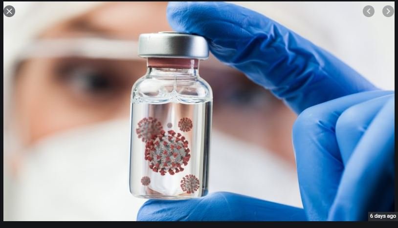 image New coronavirus variant identified in New York: researchers