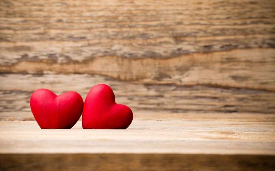 image Lovebird’s yoga: learn to slow down
