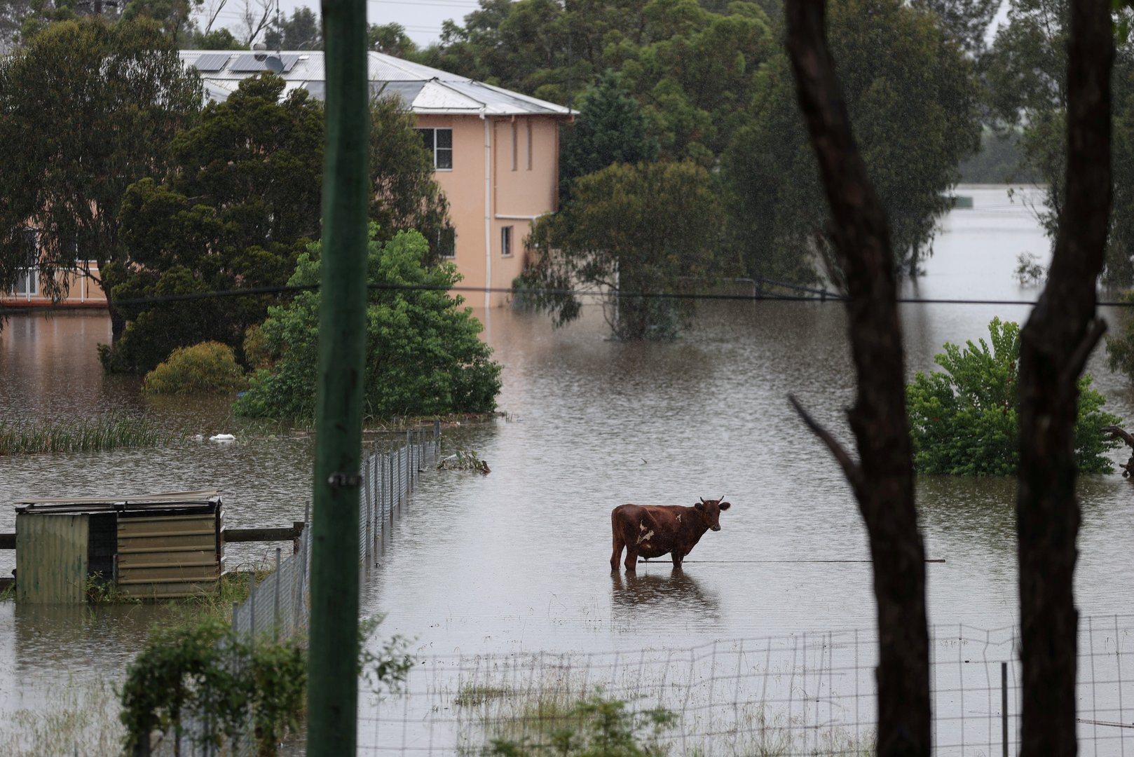 a severe flood affecting the state of new south wales is seen in sydney