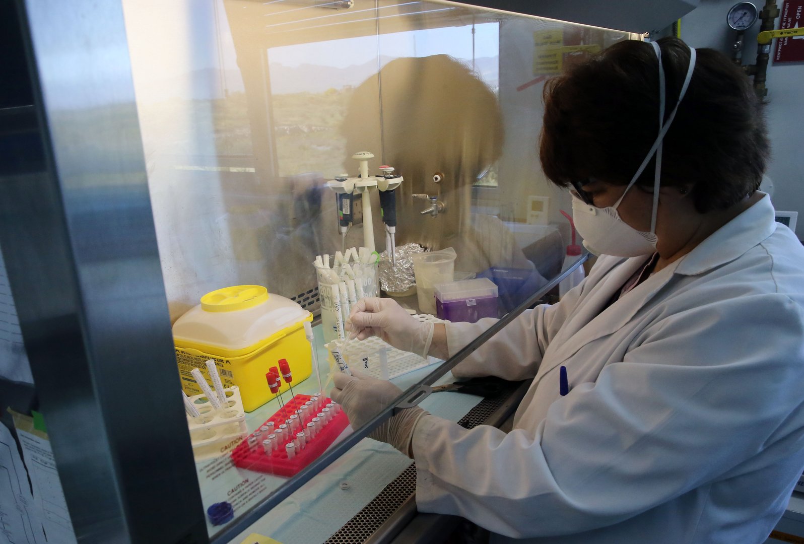 image Coronavirus: concern grows over British variant