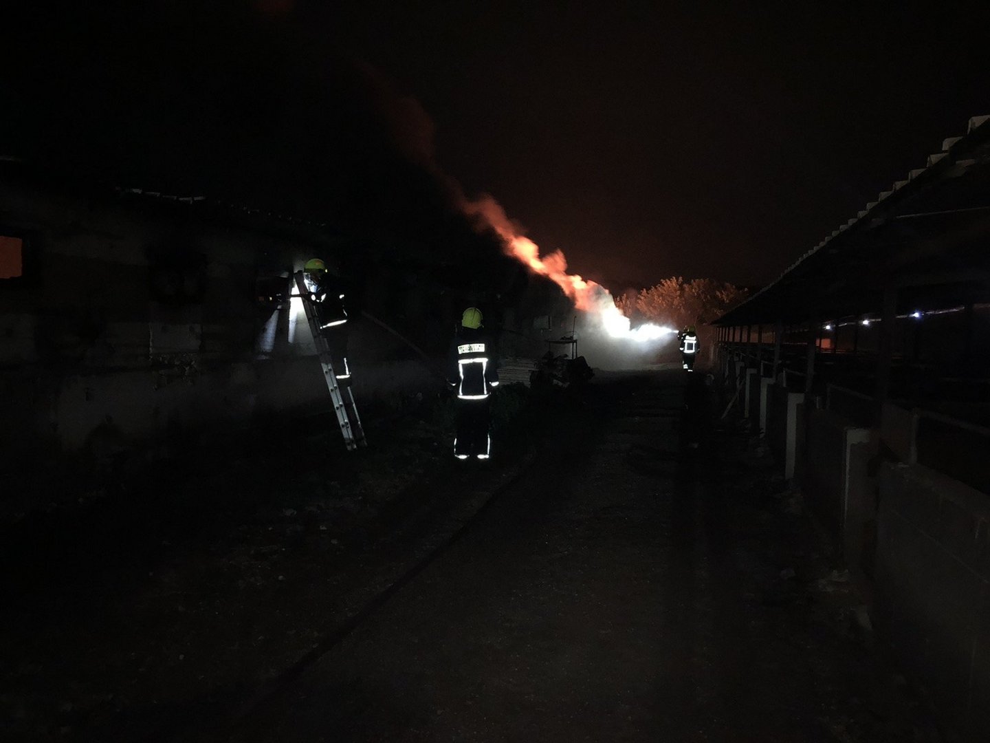 image Fire at Nicosia pig farm (updated)