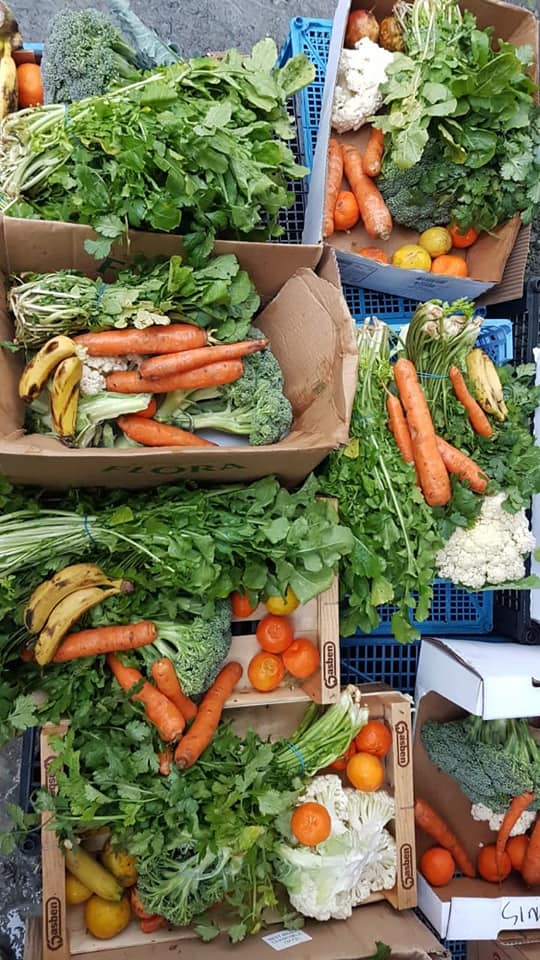 image Food waste top of agenda for joint House, parallel parliament group