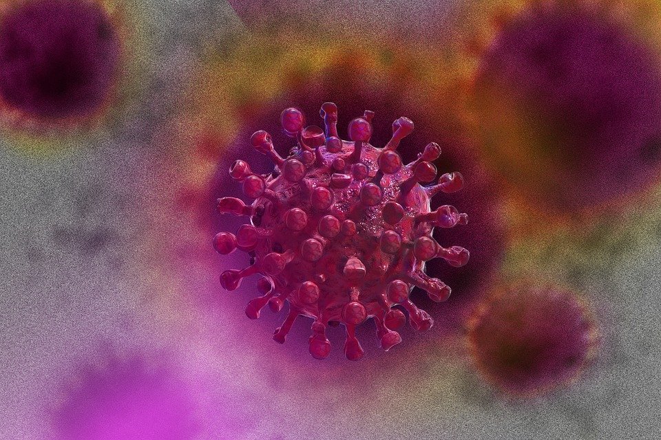 image Coronavirus: 273 cases from a record 57,926 tests, no deaths (Updated)