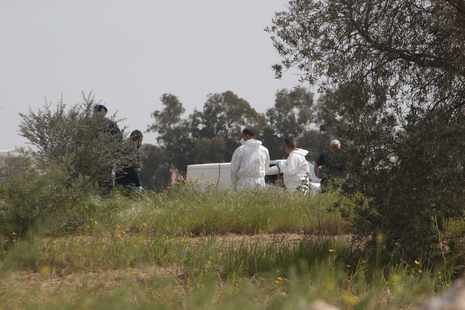 image Man admits to murdering woman found in field last month