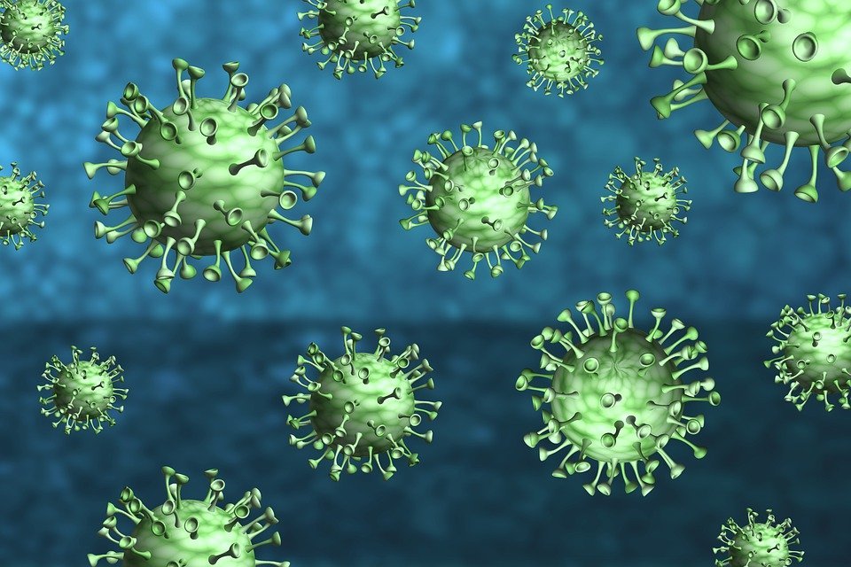 image Coronavirus: One death, 475 new cases announced Tuesday (updated)