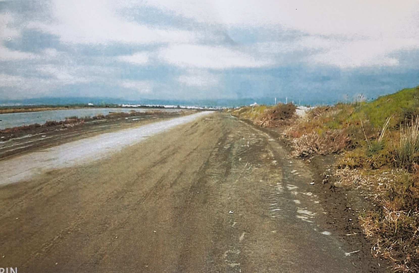 image Green groups welcome Limassol mayor’s move on Lady’s Mile