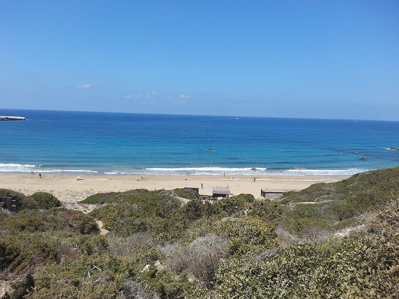 image Ineia locals protest over Akamas plan, stop short of digging up turtle nests