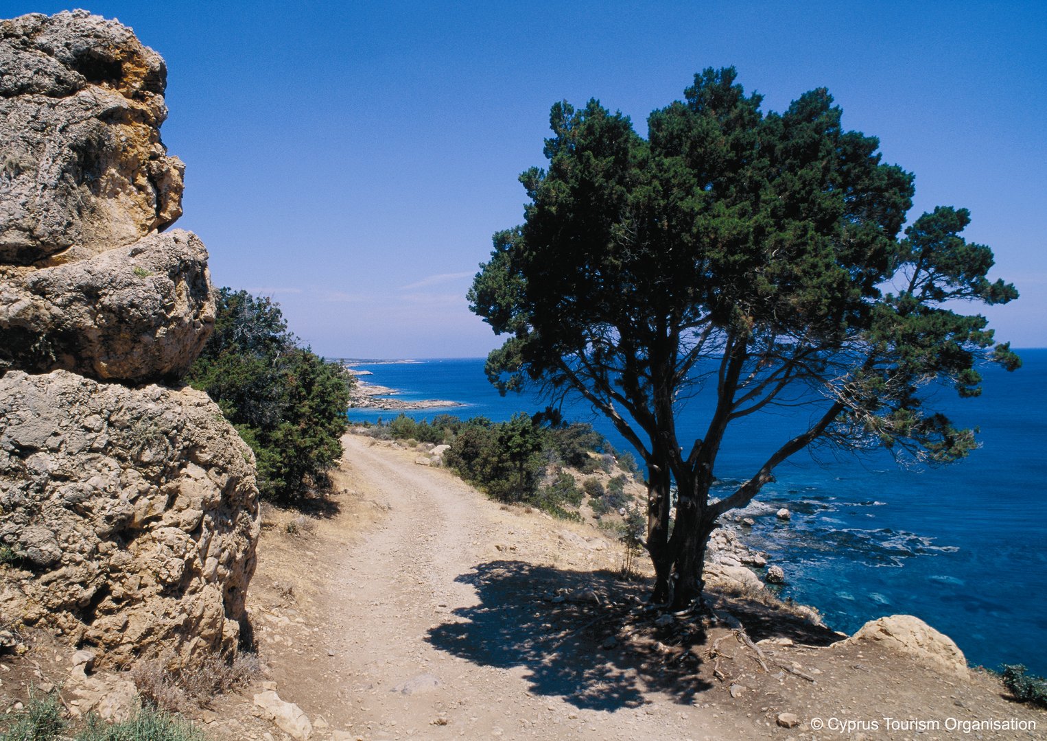 image Man, 59, dies after buggy falls off cliff in Akamas (Updated)