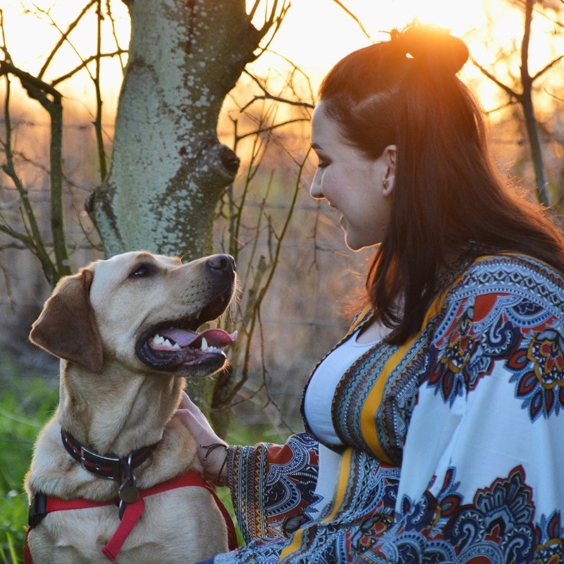 image Canine health heroes and their extraordinary stories