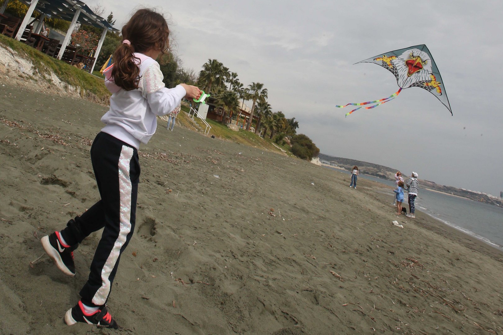 image Restrictions for kite flying on Green Monday