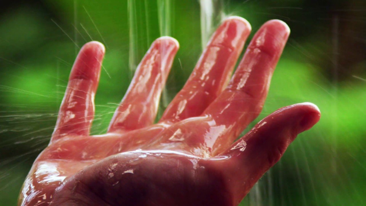 image 10 budget-friendlier tips to cut down on home water wastage