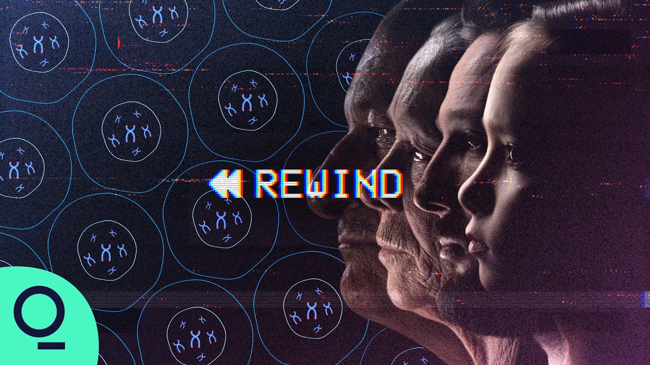 image The scientists who are on a quest to reverse aging