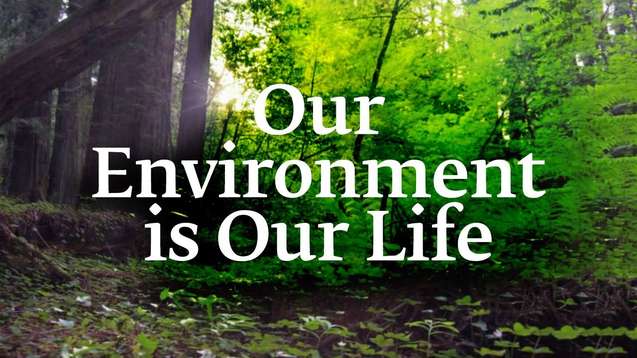 image Our environment is our life &#8211; Sadhguru (Cyprus)