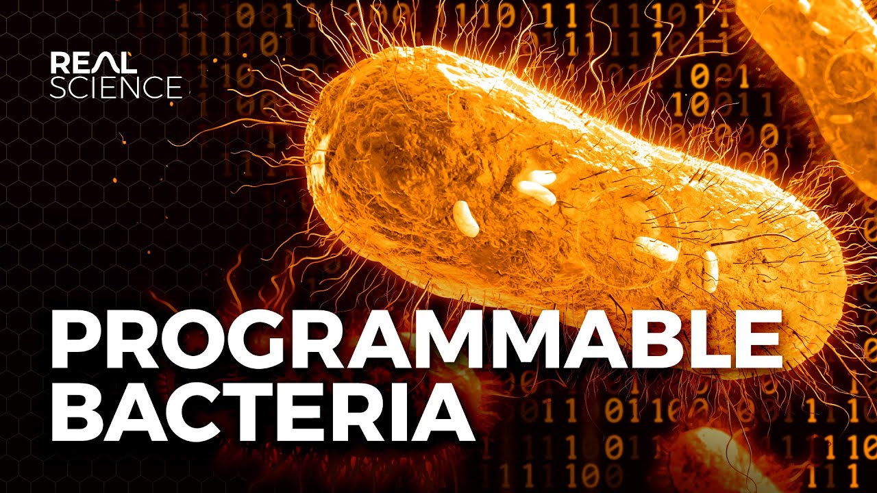 image Programmable bacteria: nature&#8217;s most powerful tool