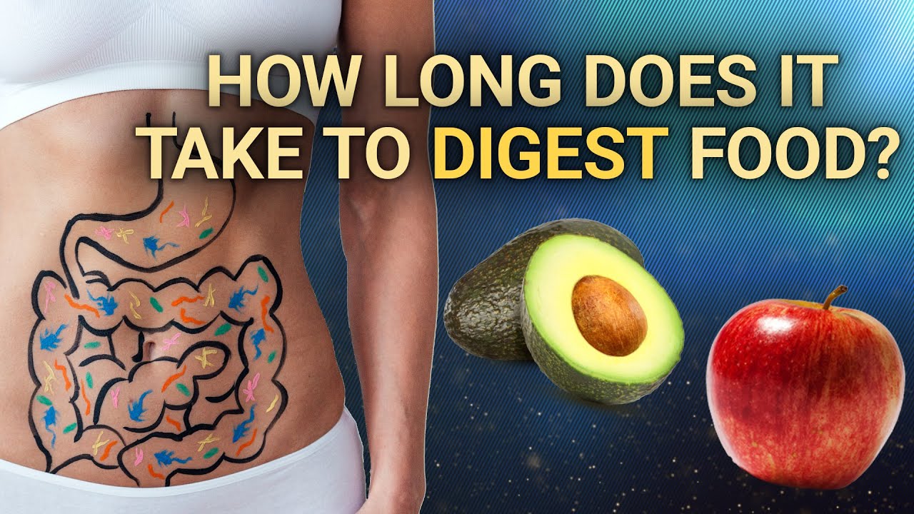 image Digestion: the ins, outs and in-betweens of this vital process