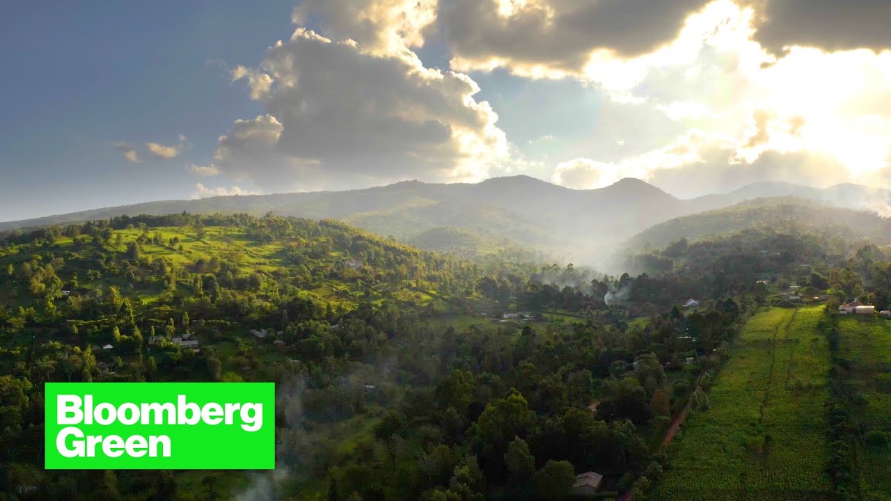 image How power is finally coming to rural Africa