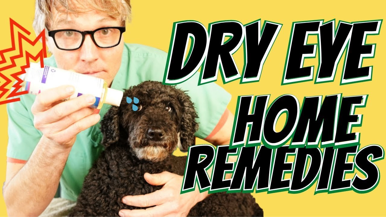 image Dry Eye in dogs: what it is, and natural remedies
