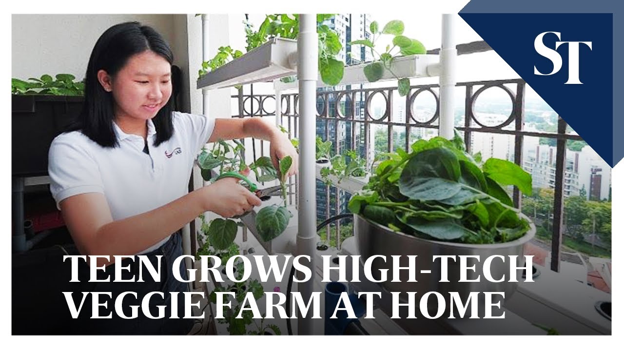 image The teen who created her own indoor farm