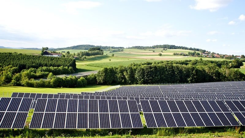 image Net-zero emissions targets adopted by one-fifth of world&#8217;s largest companies