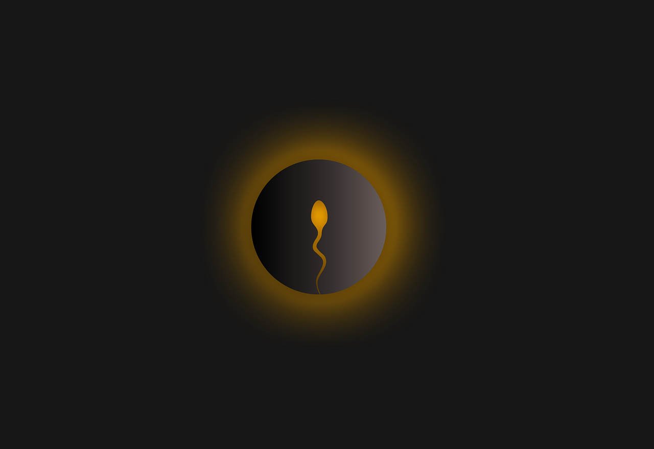image Coronavirus: Sperm of men who have had Covid no contamination risk