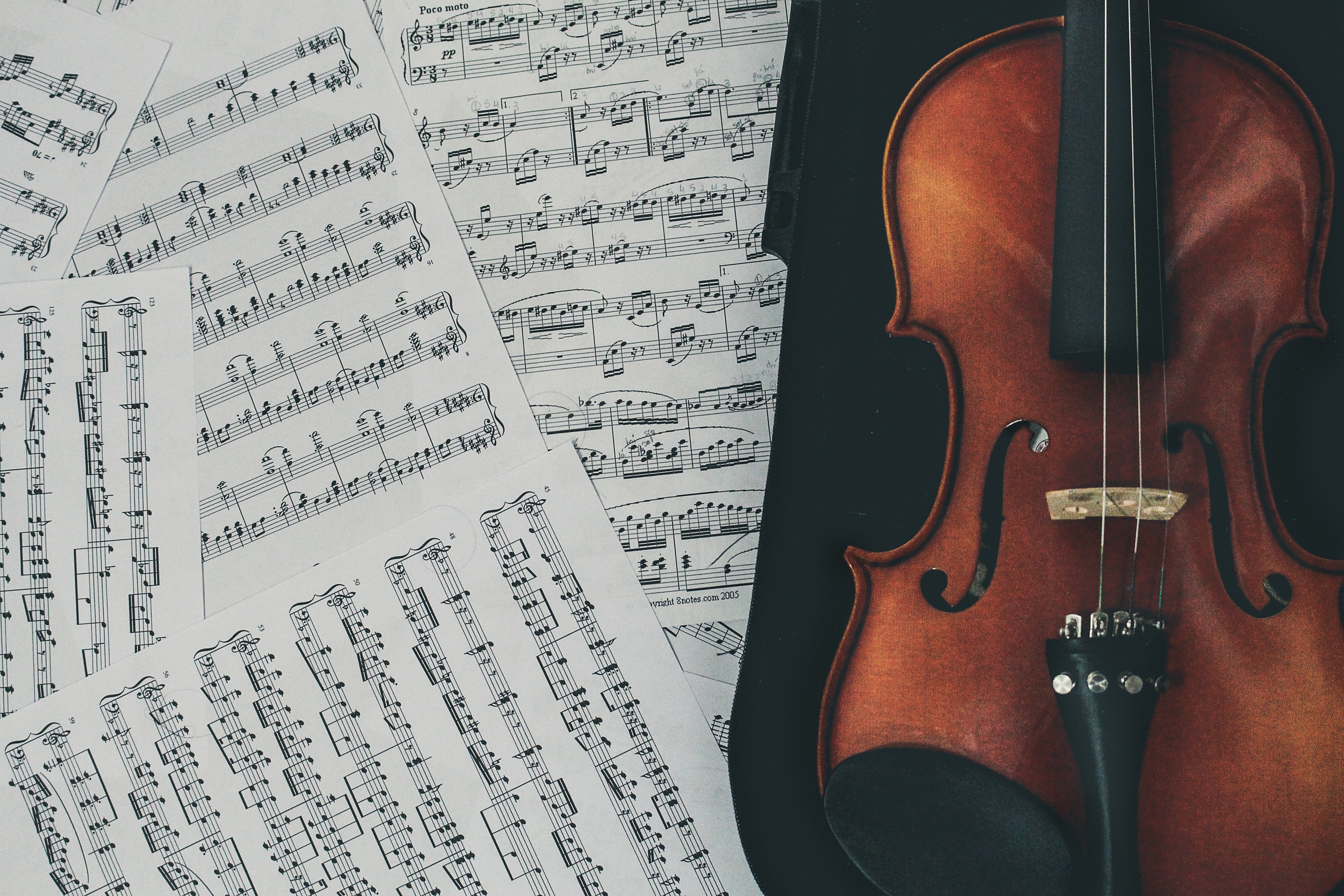 image Larnaca Festival of Classical Music to be staged in April