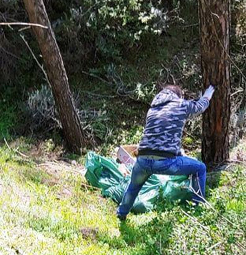 image Greens call on police to investigate death of abused dogs found in ditch