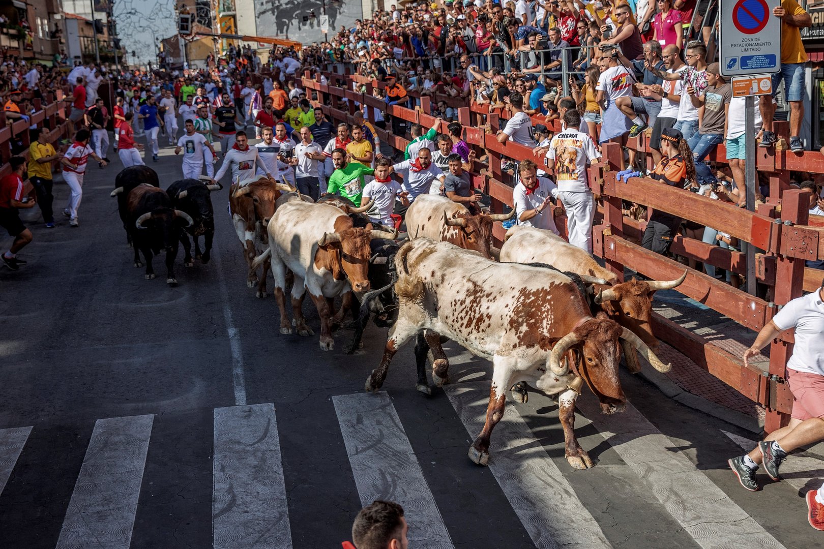 image Spain&#8217;s Pamplona cancels bull-running festival for second year in row