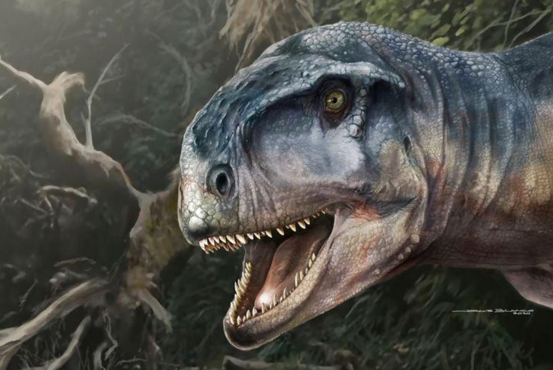 image Carnivorous dinosaur with short snout and strong bite menaced Patagonia
