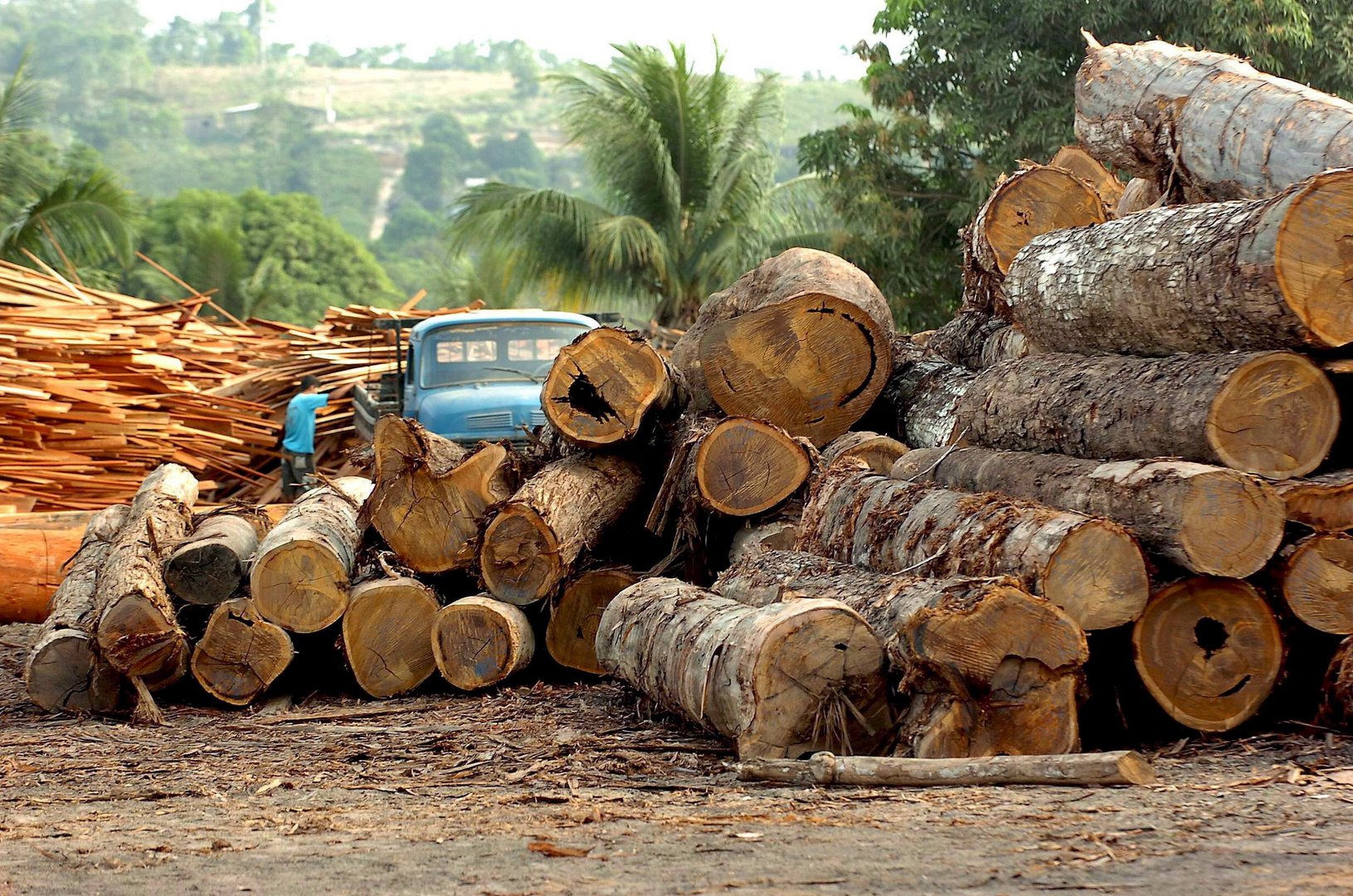image Brazil&#8217;s Amazon deforestation data mixed ahead of Biden Earth Day summit