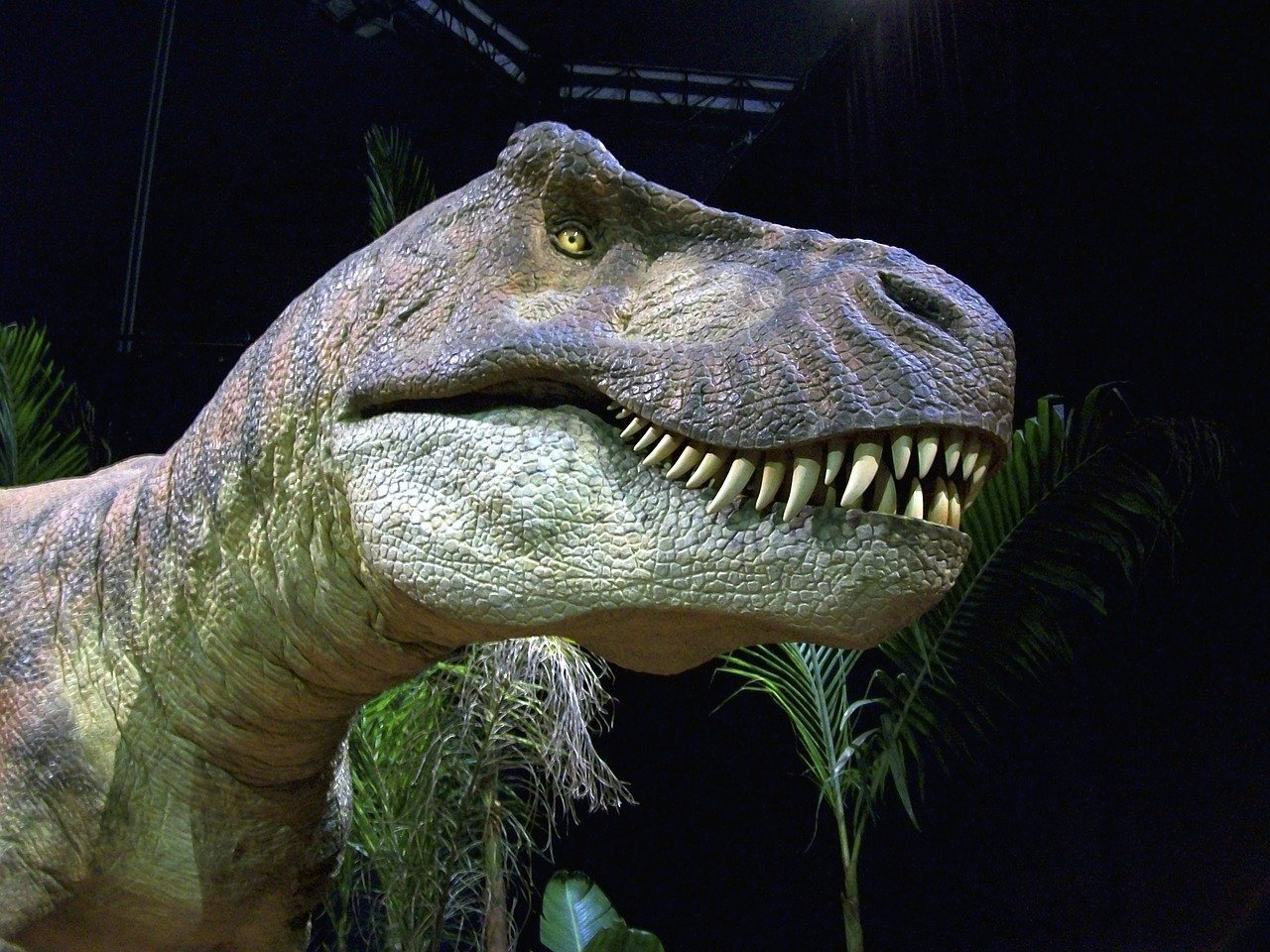 image &#8216;Like Godzilla, but actually real&#8217;: study shows T. rex numbered 2.5 billion