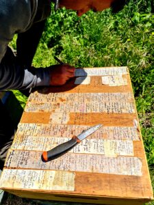 feature annette anybody who scans one of their jars can see the results of the many studies which have gone into the production of the honey