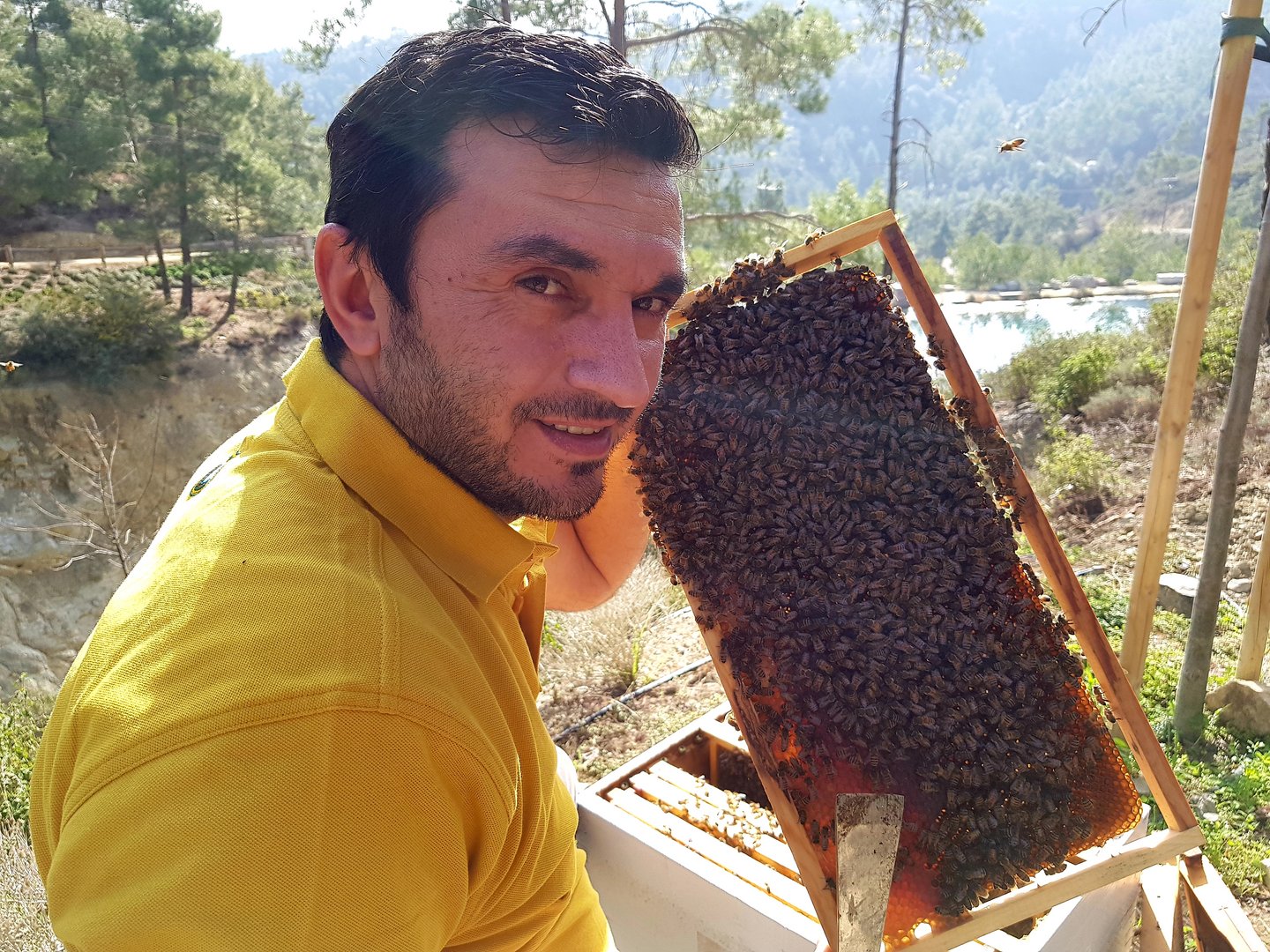 image The beekeepers who believe in full transparency