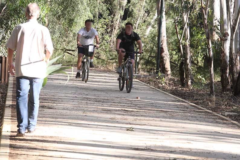 image Environmental commissioner reveals ongoing plans for Pedieos river