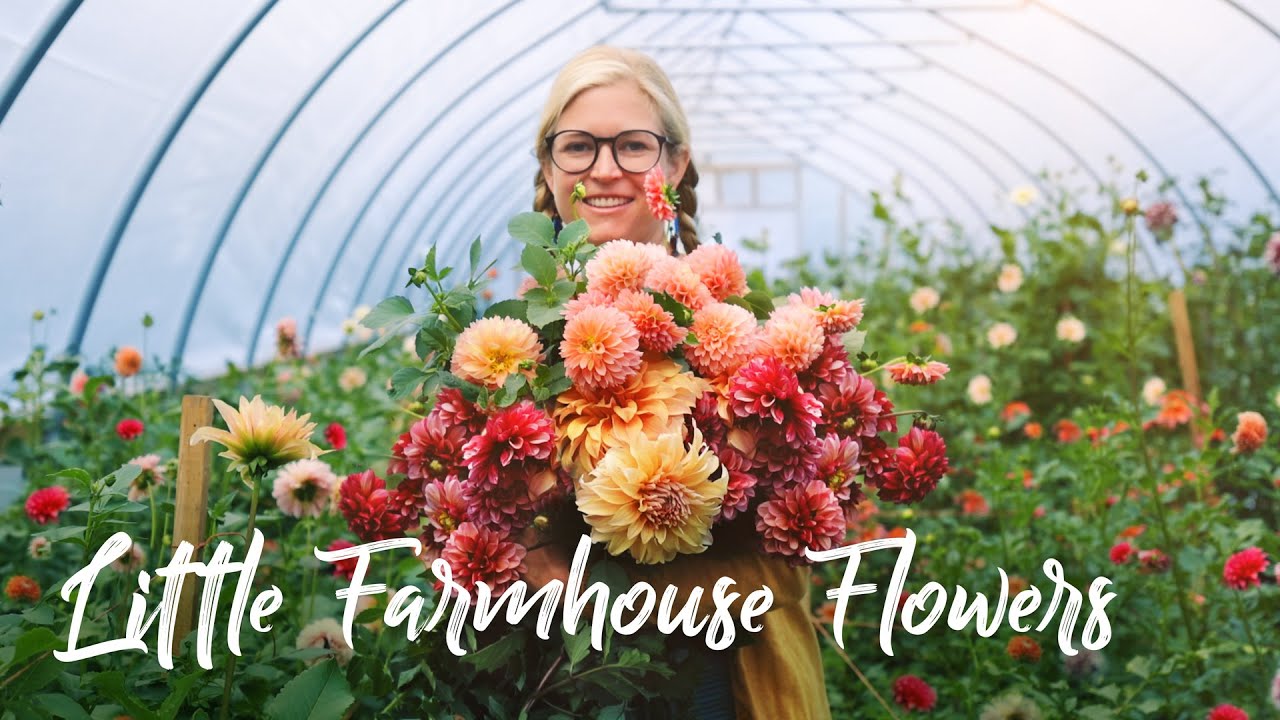 image Life on a flower farm in the Adirondacks