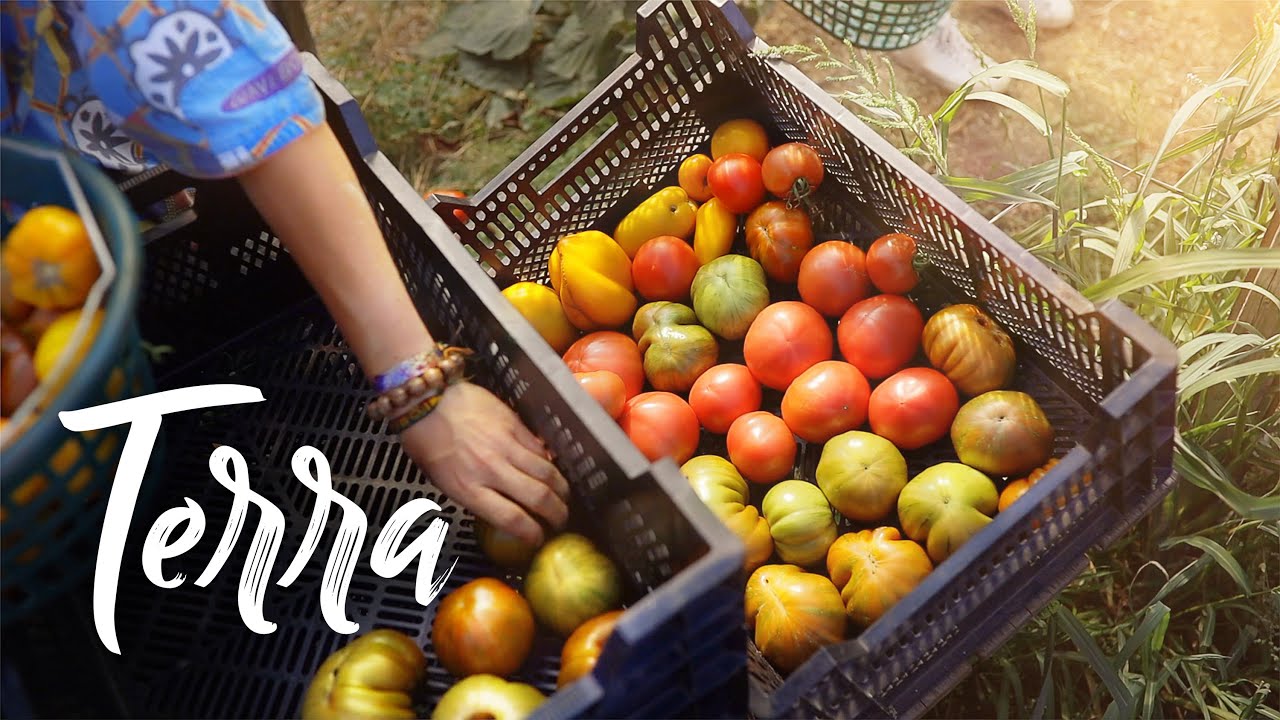 image How three friends built a sustainable farm in Luxembourg
