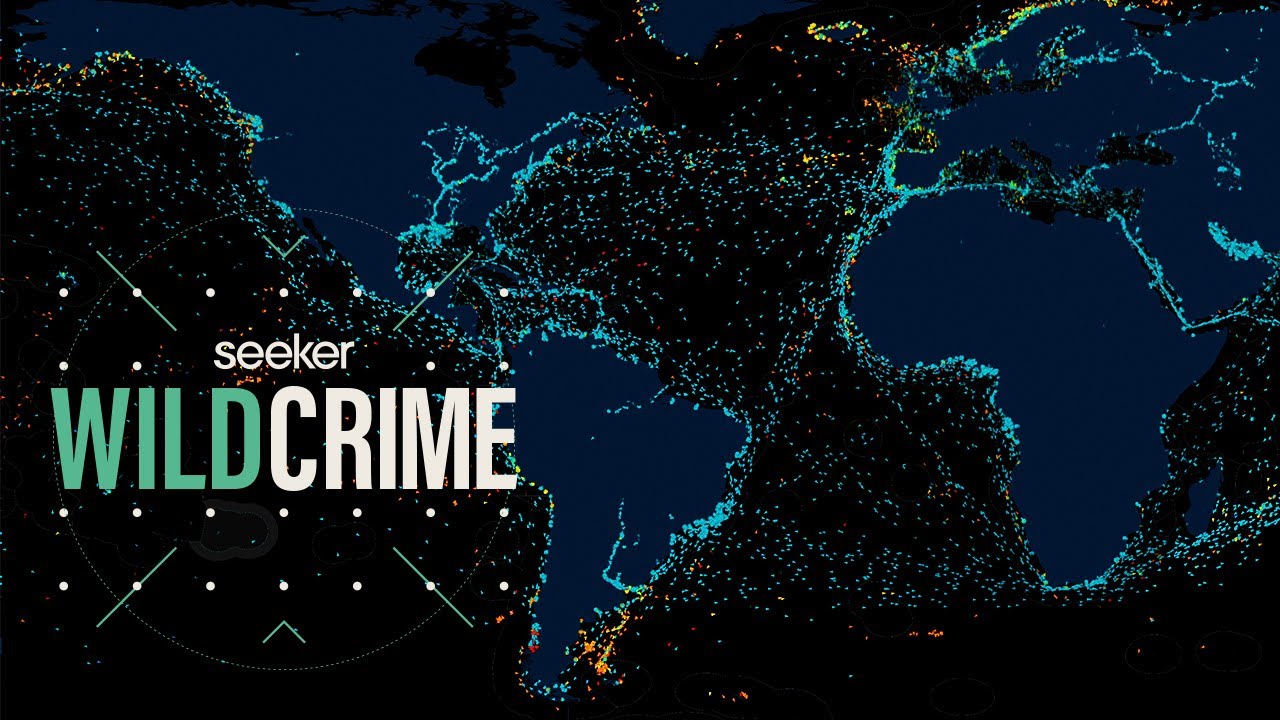 image How AI is tracking illegal fishing from space