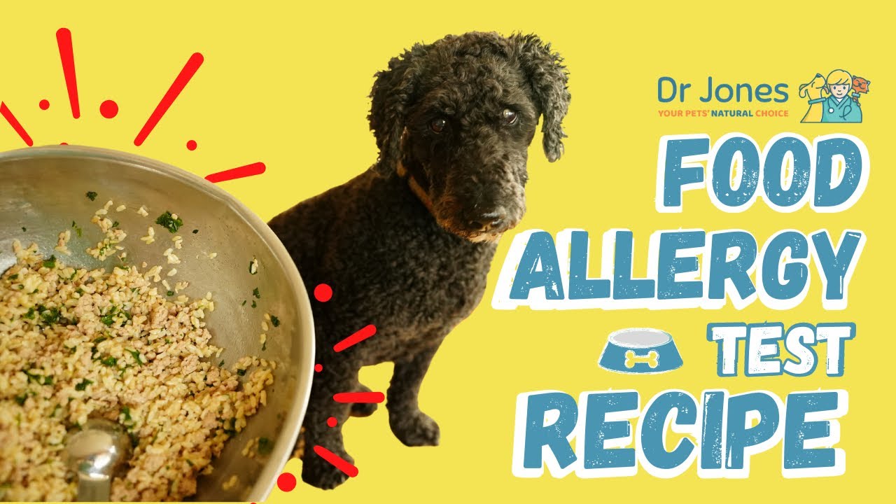 image Food allergies in dogs: telltale signs and a healing recipe