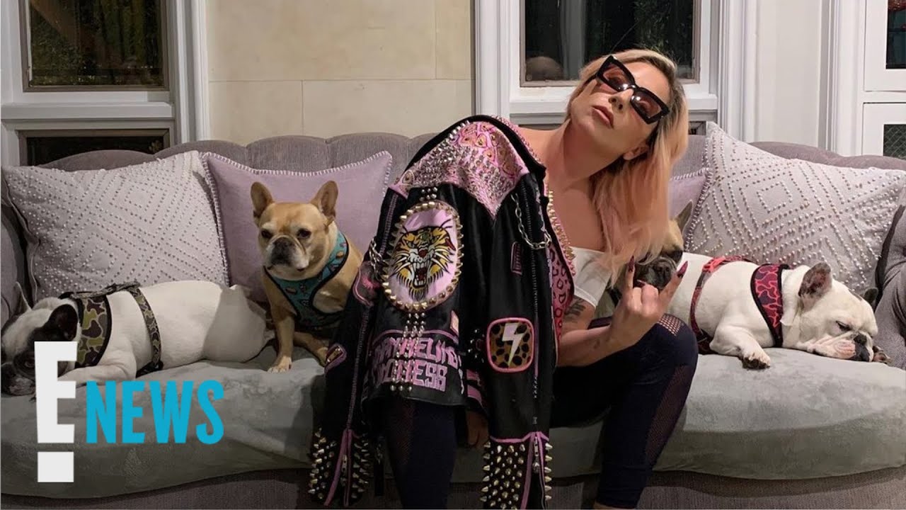 image Lady Gaga dognappers arrested, LA gang members among suspects